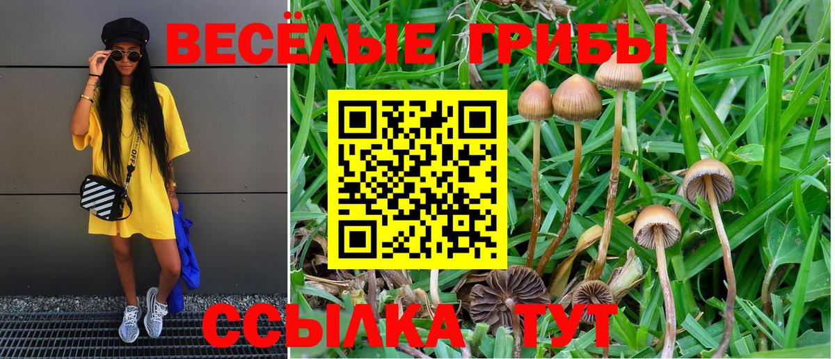 Псилоцибиновые грибы Cubensis  Псилоцибиновые грибы мухоморы  Вход с VPN  Заринск 